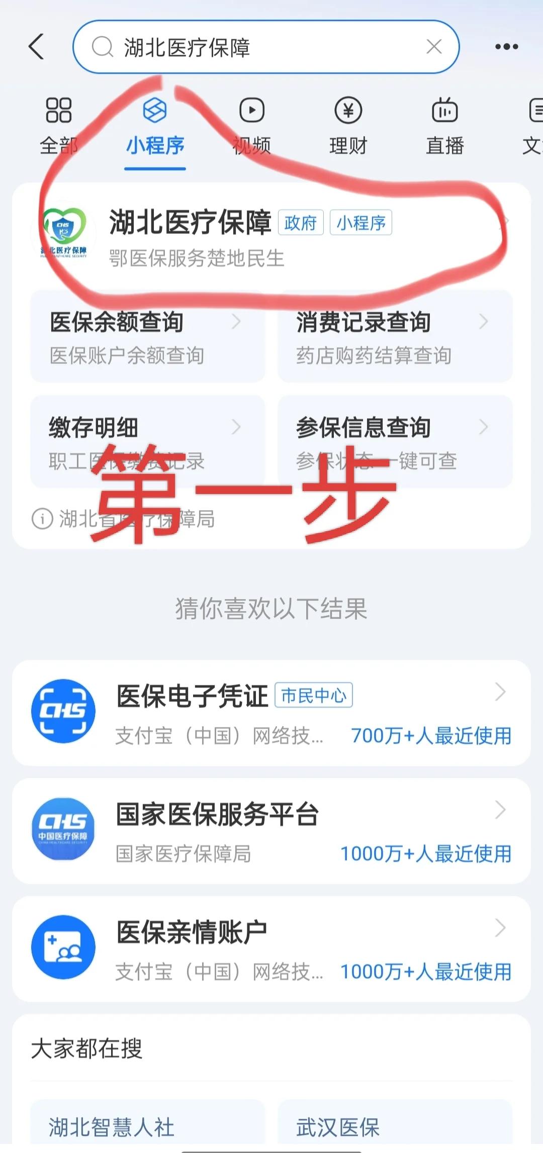 巴彦淖尔医保网上怎么缴费(孩子居民医保网上怎么缴费)