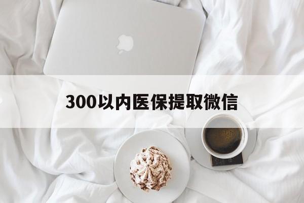 巴彦淖尔300以内医保提取微信(小额医保300以内提取)